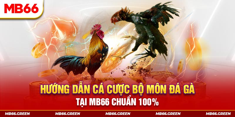 okwin kết quả xổ số miền bắc ngày hôm nay