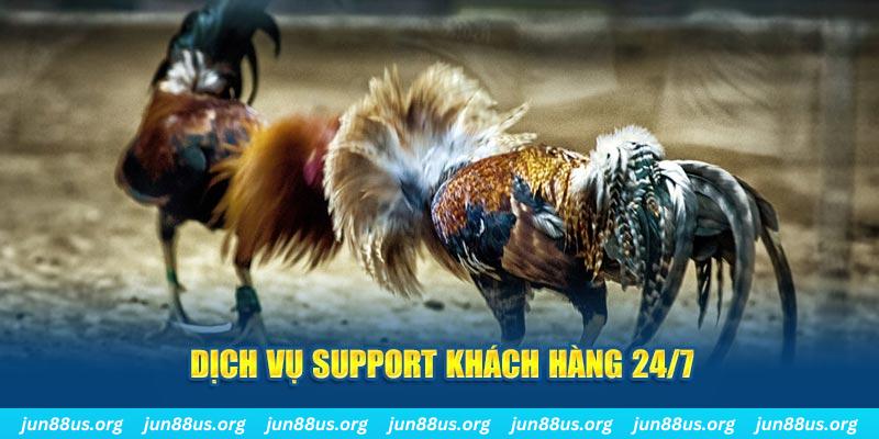 okwin game xếp bài trên máy tính