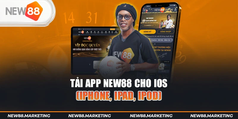 okwin gà chọi cậu thanh
