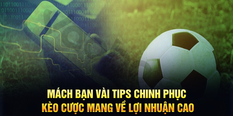 okwin đăng nhập phỏm hàng đầu