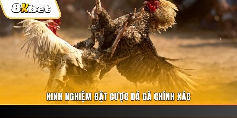 okwin xổ số thứ bảy hàng tuần