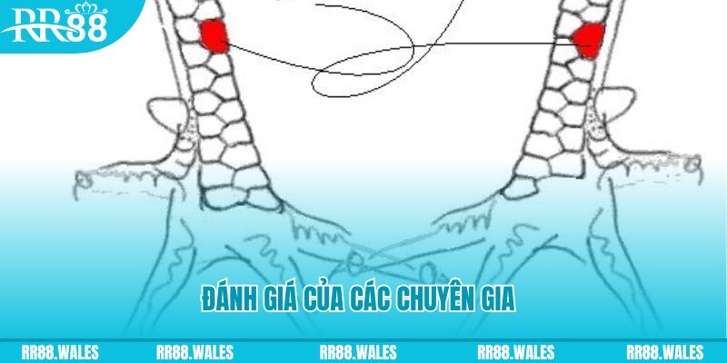 okwin tải game đánh bài tiến lên miền nam về máy tính
