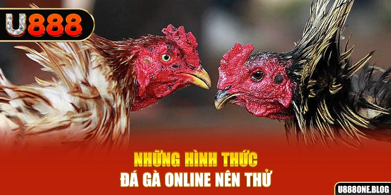 okwin nổ hũ ai là gì