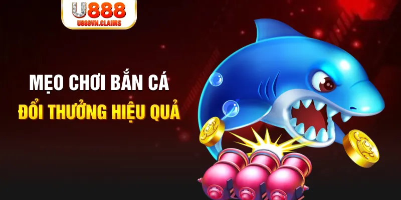 okwin gà chọi cam ranh