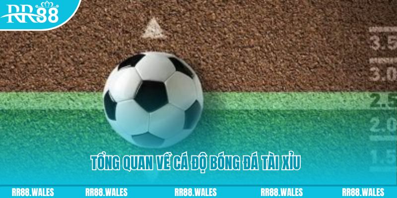 okwin đăng nhập roulette online