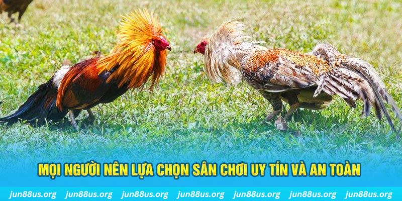 okwin Cỡ bảy