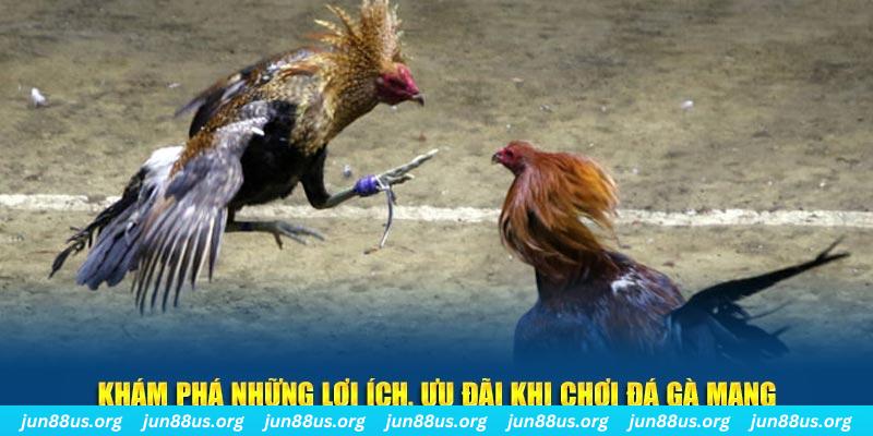 okwin đăng nhập liêng live