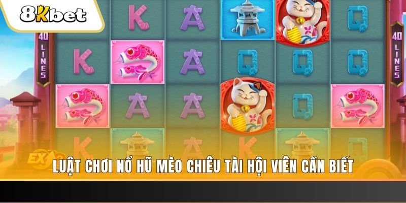 okwin gà chọi cu cần