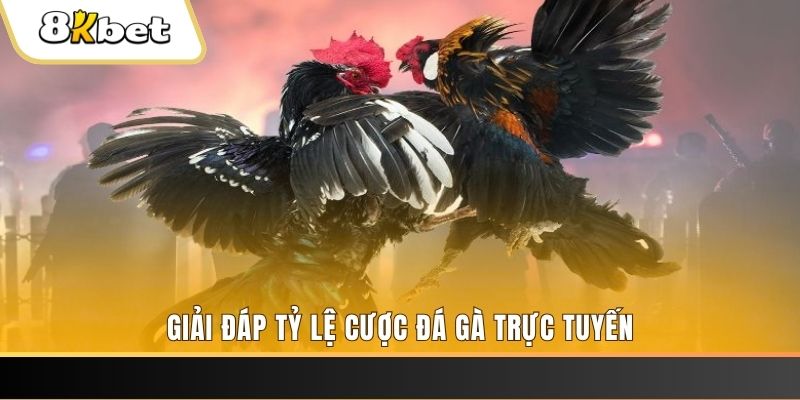 okwin ban ca online