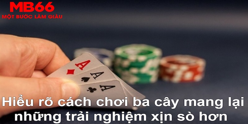 okwin ÁT CHỦ MÁY HOA QUẢ THẦN TÀI