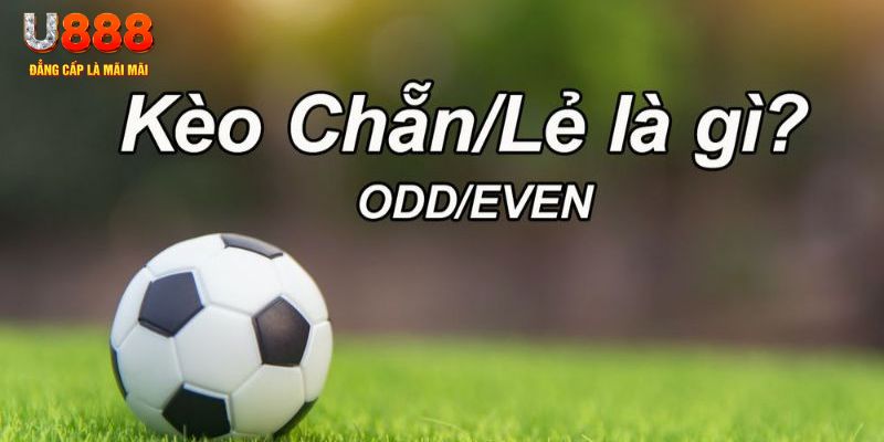 okwin đăng nhập sòng bạc 2024