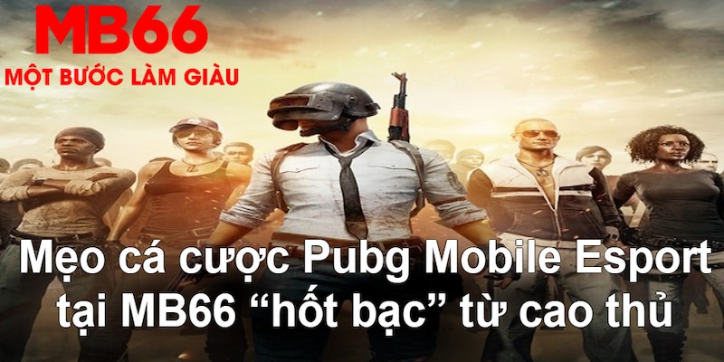 okwin đăng nhập poker hàng đầu