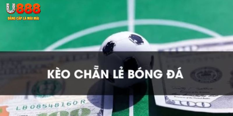 okwin gà chọi c1.tv
